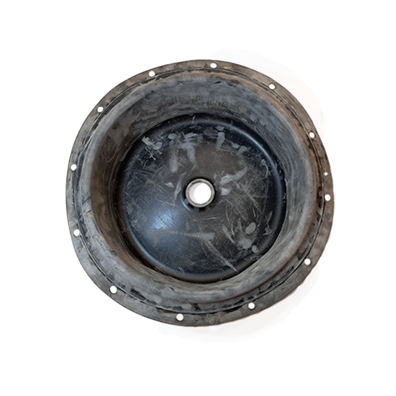 image_42c3930f-e5bf-4388-81cd-a1031210998f